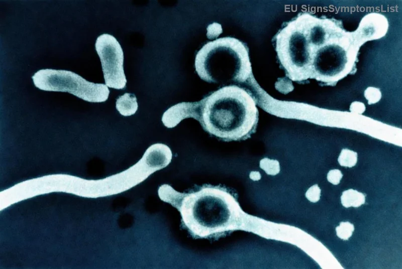Efikasna dijeta za pacijente sa metastatskim rakom prostate