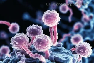 Melanoma Túlélési Útmutató: Titkos Táplálkozási és Bőrvédelmi Tippek a Betegség Legyőzéséhez