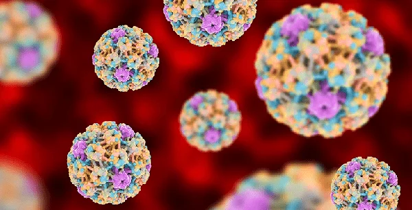 Qui no s'ha de vacunar contra el VPH?
