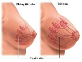 5 primers signes dembaràs que cal conèixer