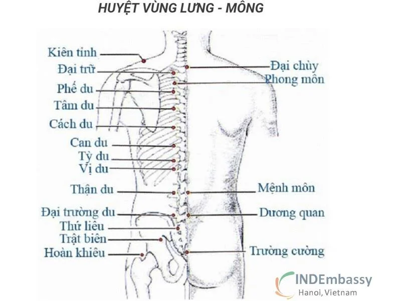 Nálastungur í baki og baki eru oft notaðar