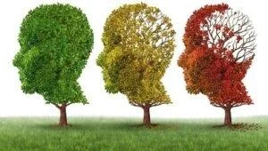 Demencia vascular: causas, síntomas e tratamento