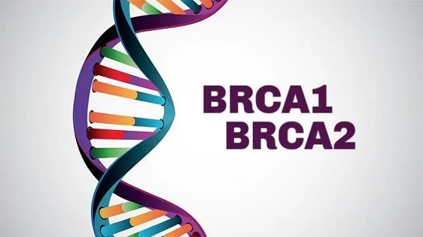 BRCA genið og hættan á brjóstakrabbameini og öðrum líffærakrabbameinum