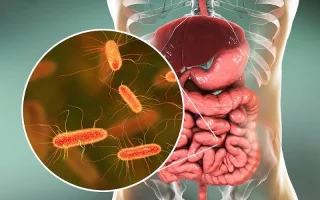 Kuseteede infektsioonid raseduse ajal ja mida peate teadma