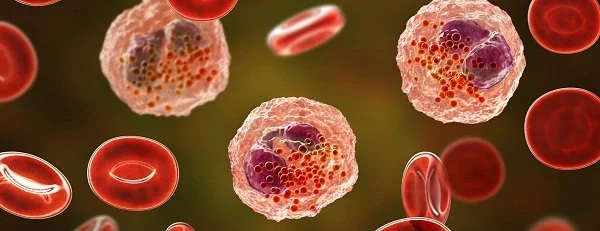 Hvad du behøver at vide om eosinofil esophagitis