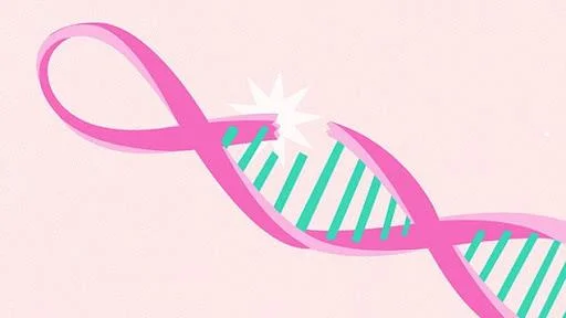 BRCA genið og hættan á brjóstakrabbameini og öðrum líffærakrabbameinum