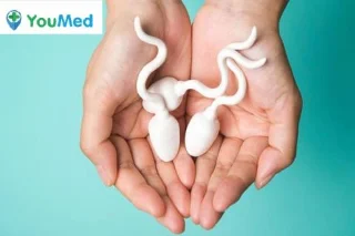 Maneres dajudar a augmentar la qualitat i la fertilitat de lesperma que necessiteu saber