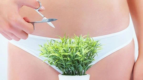 M'he d'afaitar el pèl púbic?  L'afaitat té algun efecte?