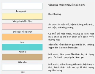 Hvernig endurspeglar liturinn á þvaginu þínu innri heilsu þína?