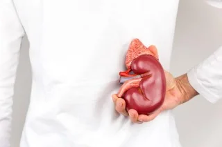 Què és la insuficiència renal? Causes, símptomes i cures