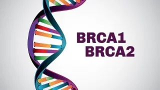 Gen BRCA in tveganje za raka dojk in drugih organov