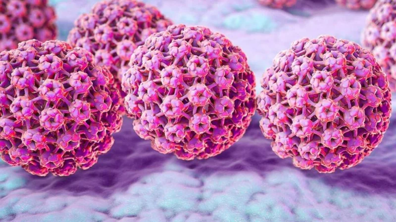 Hvað eru lyf gegn HPV?