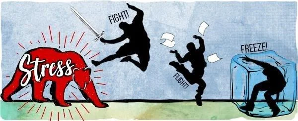 Posttraumaatiline stressihäire (PTSD): kõik, mida pead teadma