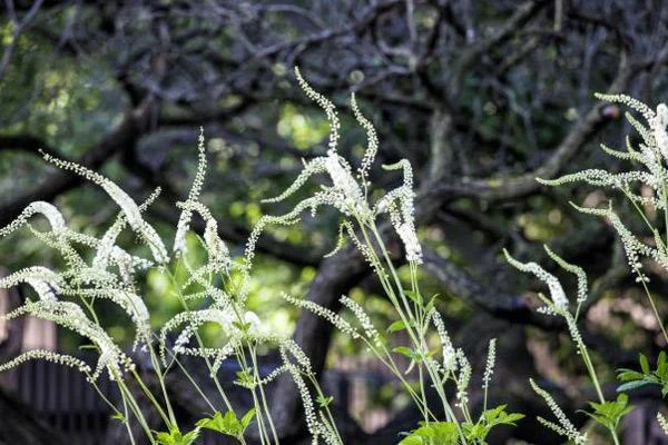 Loomuliku sünnituse stimuleerimine: kas peaks või mitte?