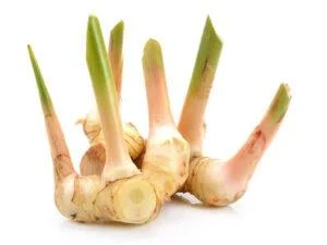Galangal: una espècia amb efectes curatius