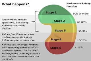 Anemia por insuficiencia renal crónica e información necesaria para os lectores