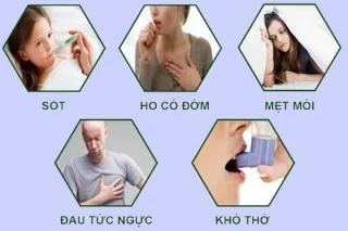 Hvad er lungebetændelse? Årsager, symptomer og behandling
