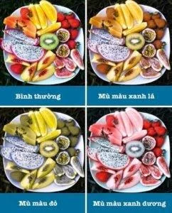 Värvipimedus: mida peate teadma