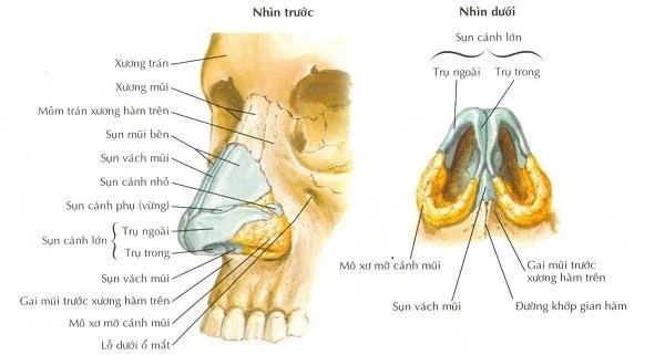 Nina murd: mida peate teadma