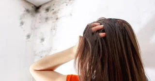 O que debes saber sobre as alerxias ao mofo